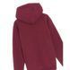Худі Jordan Flight Wordmark Fleece Pullover (бордовий) DV6463-645 фото 3