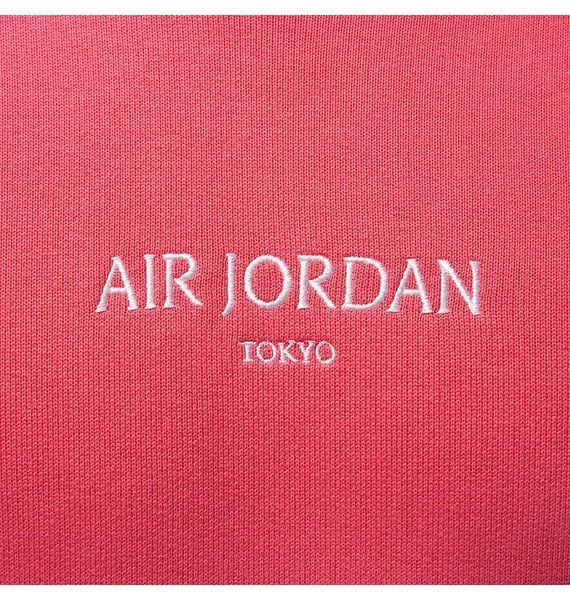 Худі Jordan Wordmark Tokyo FZ1172-629 фото